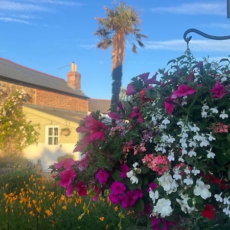 Bed and Breakfast Penwyth House New Quay Esterno foto