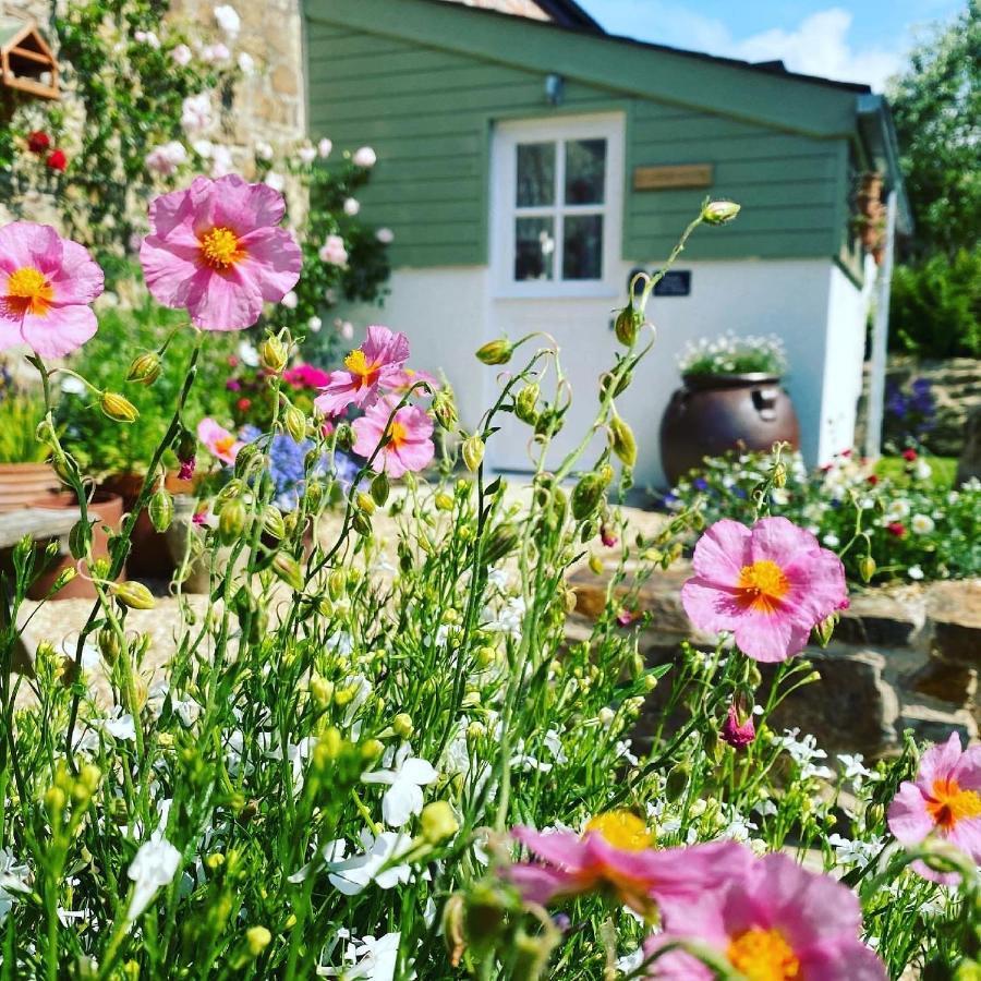 Bed and Breakfast Penwyth House New Quay Esterno foto