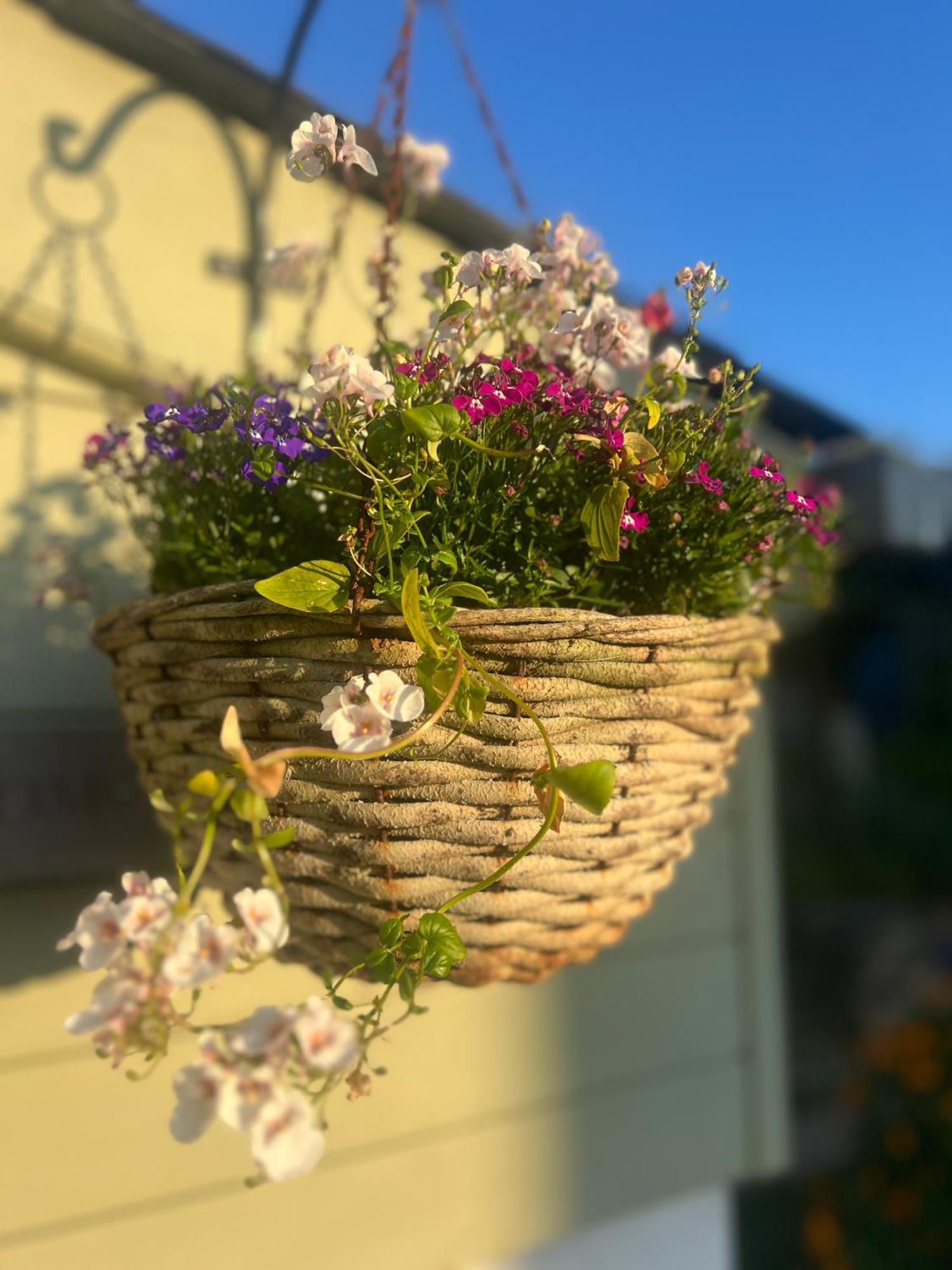 Bed and Breakfast Penwyth House New Quay Esterno foto