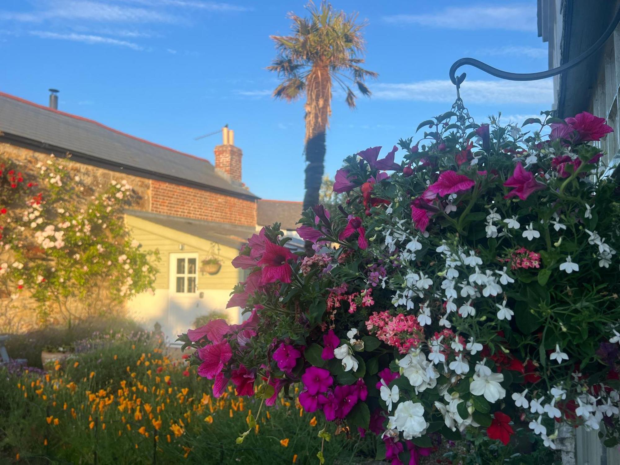 Bed and Breakfast Penwyth House New Quay Esterno foto